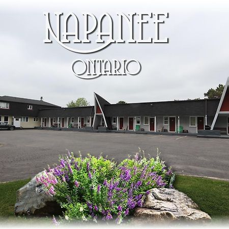 Twin Peaks Motel Napanee Exterior photo